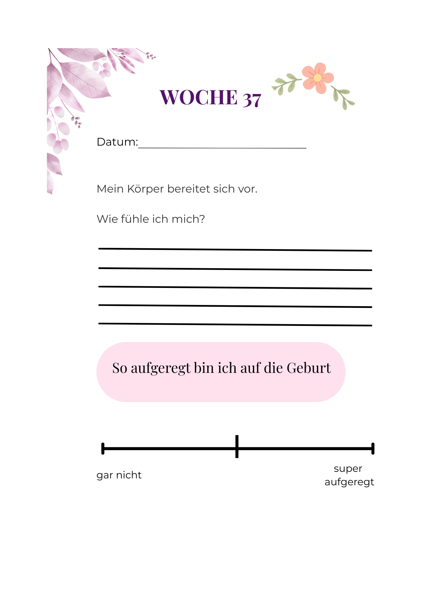 Mein Schwangerschaftsplaner