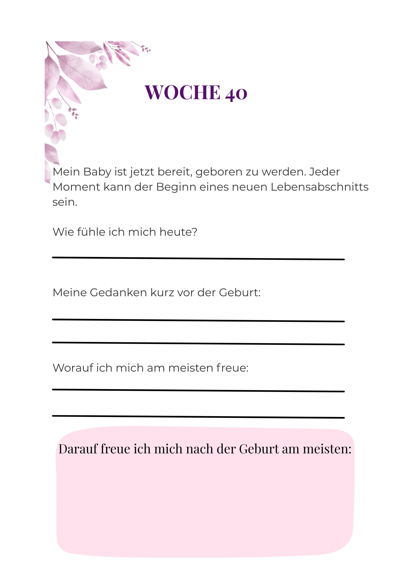 Mein Schwangerschaftsplaner