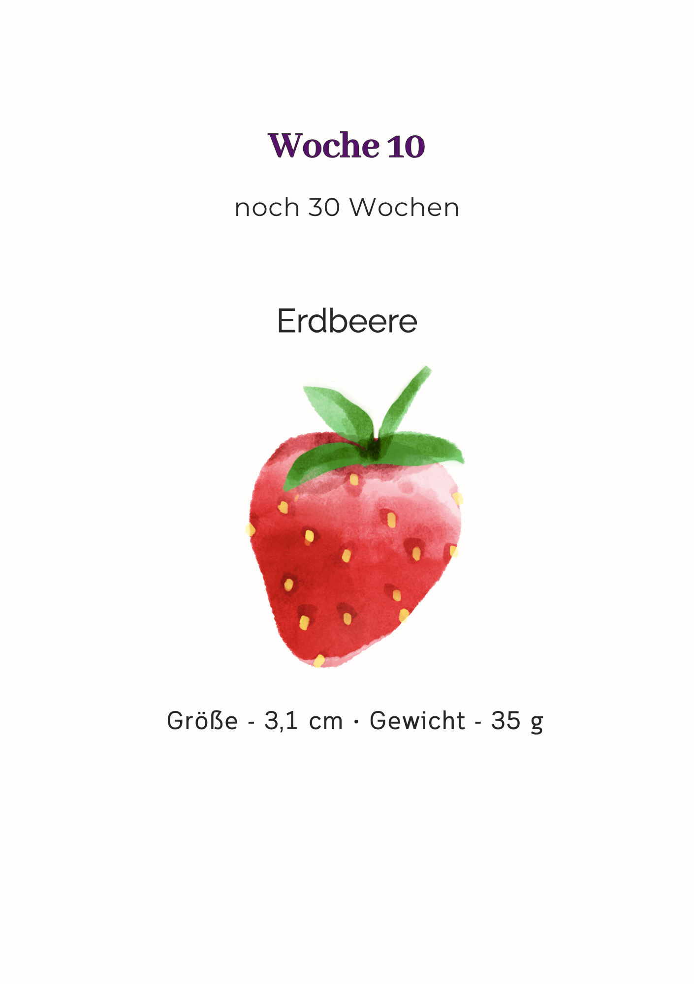 Mein Schwangerschaftsplaner